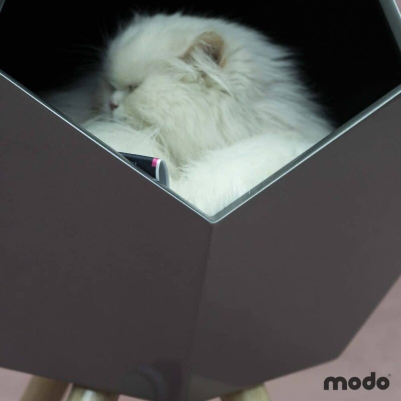 Modo