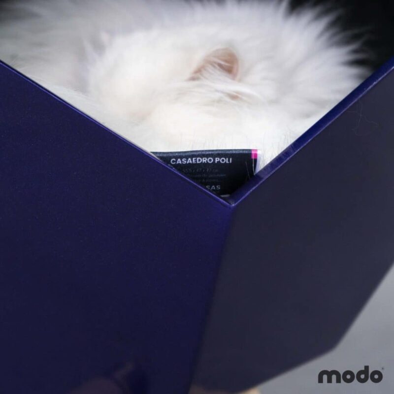 Modo