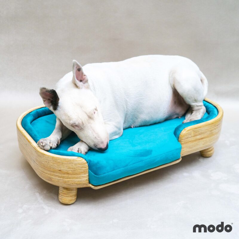 Modo