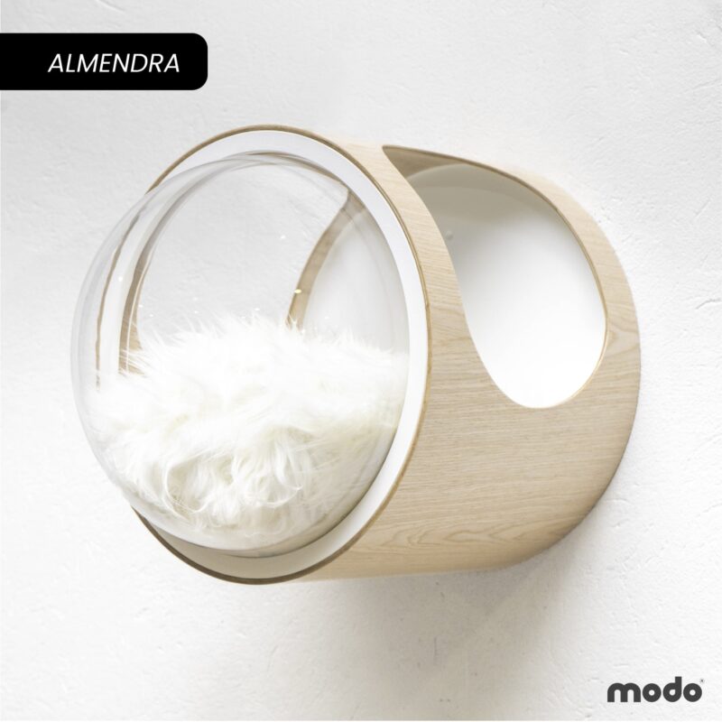Modo