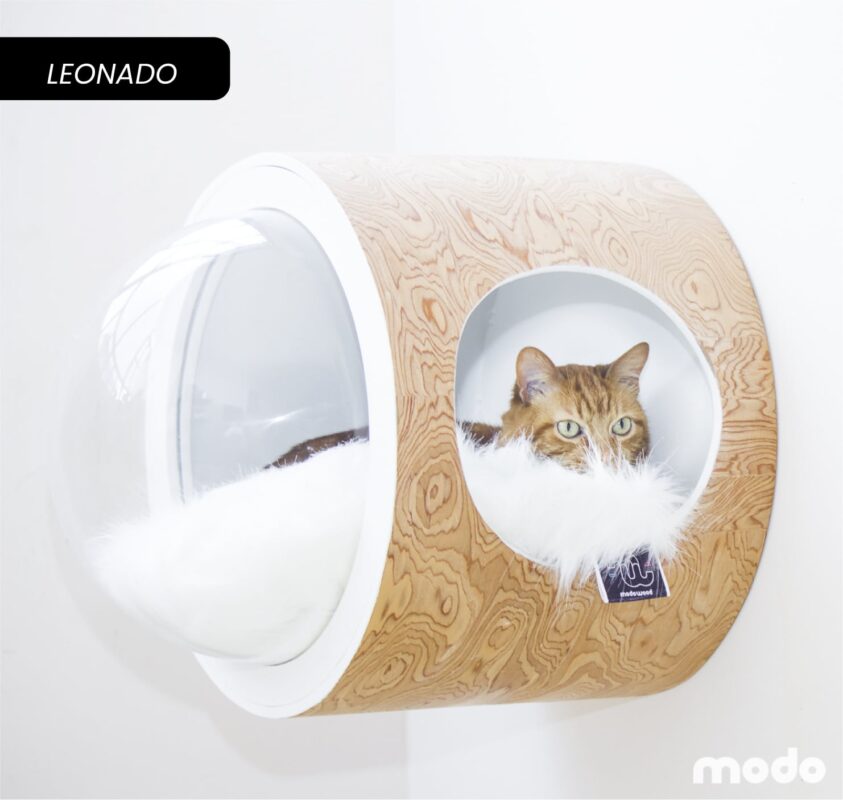 Modo