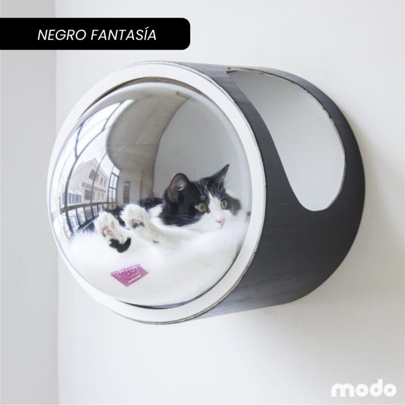 Modo