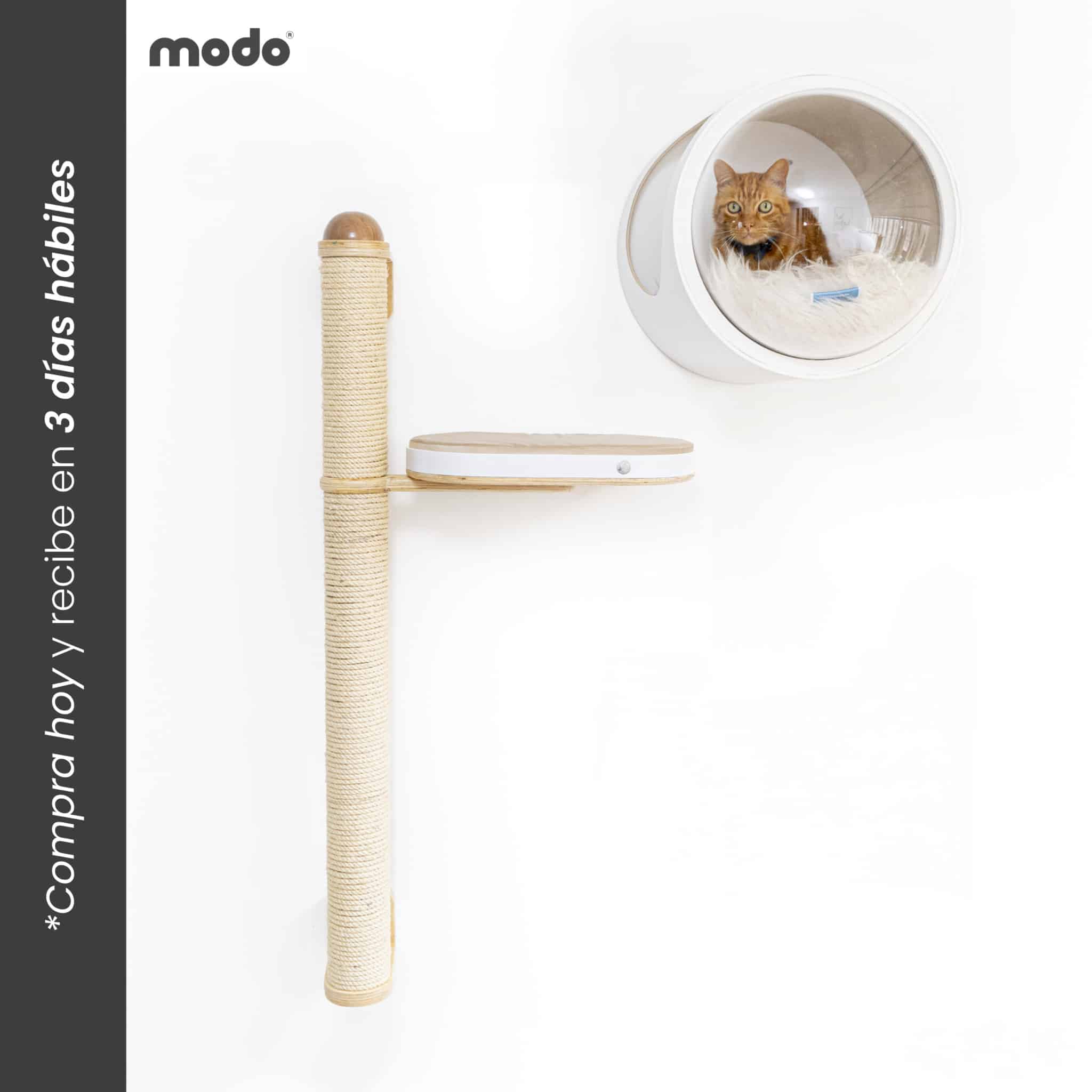 Rascador Slim + Mododomo - Entrega Inmediata
