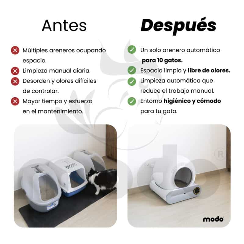 Modo