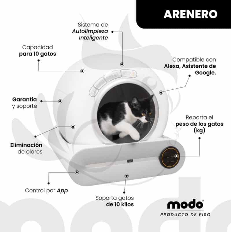 Modo