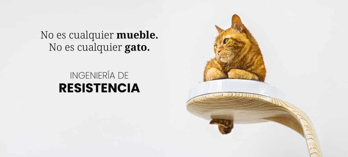 Modo