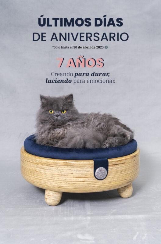 Modo