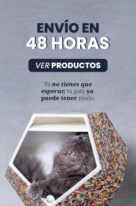 Modo