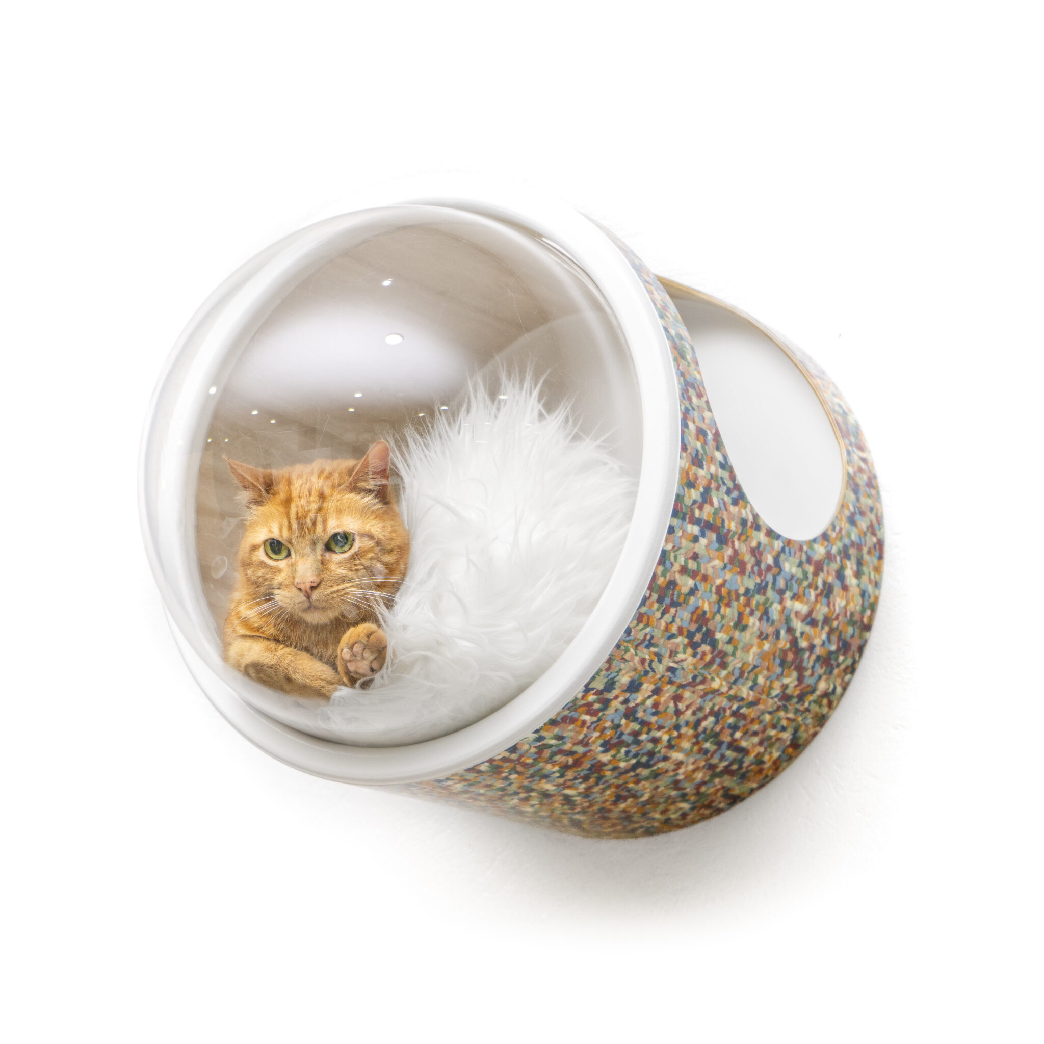 Alternative view of Mododomo - Entrega Inmediata